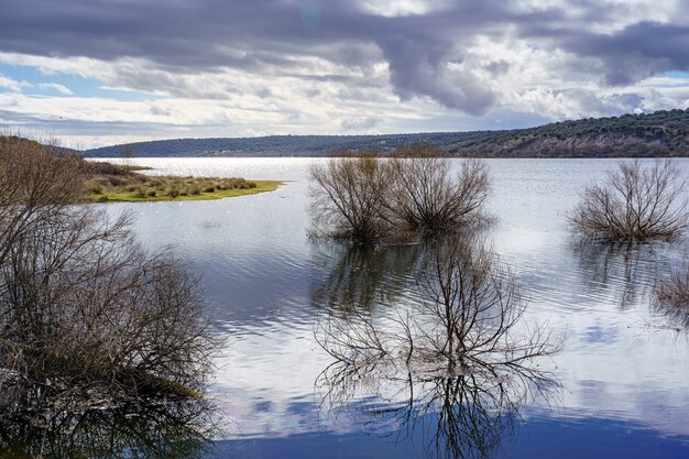 Paisaje del lago con plantas y árboles en el agua, nubes oscuras y reflejos del sol en el agua. Madrid Guadalix. Europa.