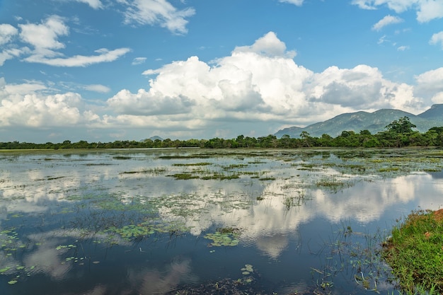 Paisaje del lago con reflejo de cielo nublado, Sri Lanka