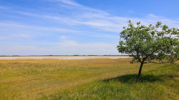 Foto paisaje de un lago seco en burgenland, austria, cerca del lago neusidler