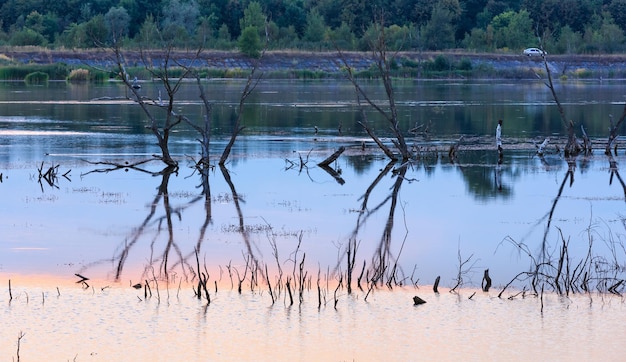 Paisaje de lago de verano al atardecer con reflejo de ramitas de árbol sobre la superficie del agua. Pescador irreconocible.