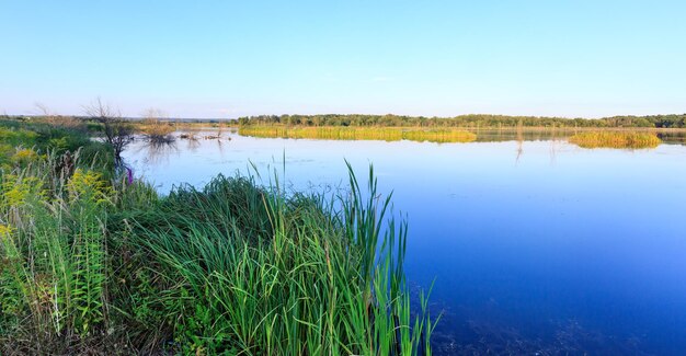 Paisaje de lago de verano por la noche con reflejos de plantas en la superficie del agua (cerca del asentamiento de Shklo, Óblast de Lviv, Ucrania).