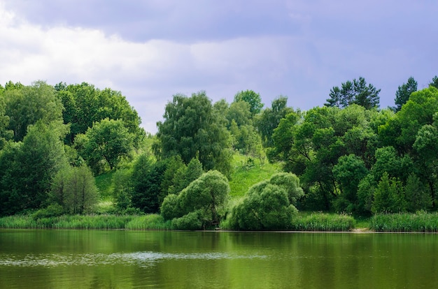 Paisaje con un lago en verano en tiempo nublado