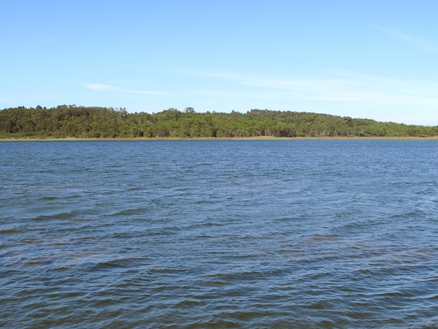 Paisaje de un lago