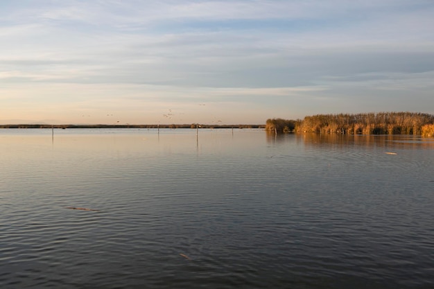 Paisaje de la laguna de agua dulce en el parque natural de la Albufera en Valencia España