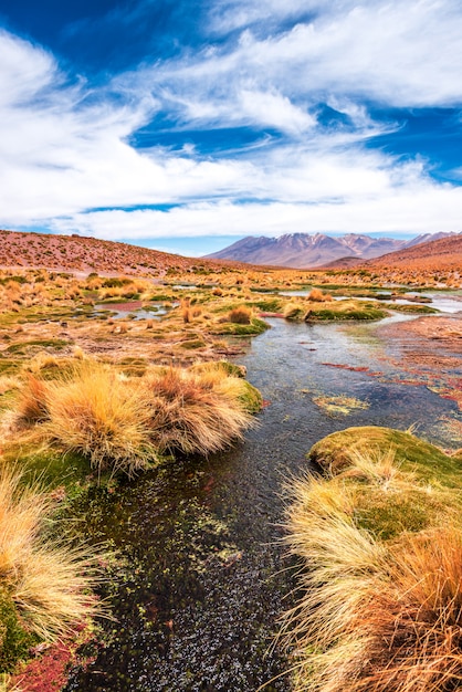 Paisaje de la laguna en bolivia