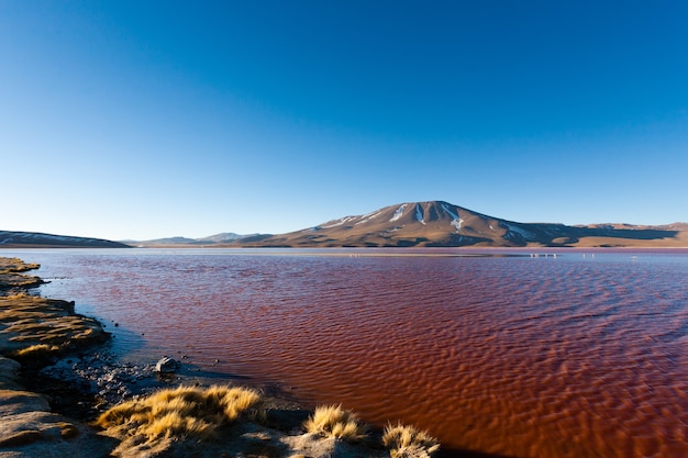 Paisaje de Laguna Colorada, Bolivia. Hermoso panorama boliviano. Laguna de agua roja