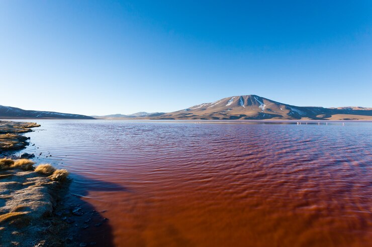 Foto paisaje de laguna colorada, en bolivia