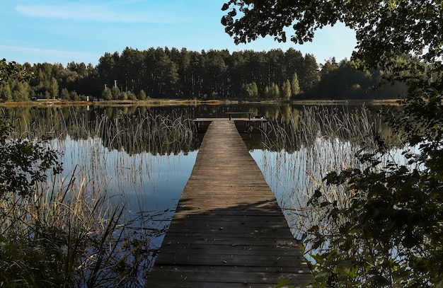 Paisaje con largo embarcadero de madera en perspectiva lago bosques en el horizonte y cielo azul claro en verano