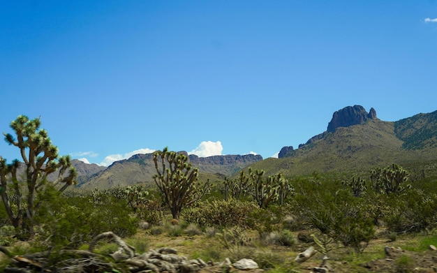 Un paisaje ligeramente árido y desértico del oeste americano.