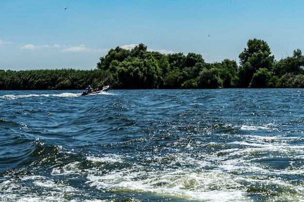 Paisaje con línea de flotación, pájaros, juncos y vegetación en el delta del Danubio, Rumania, 2021