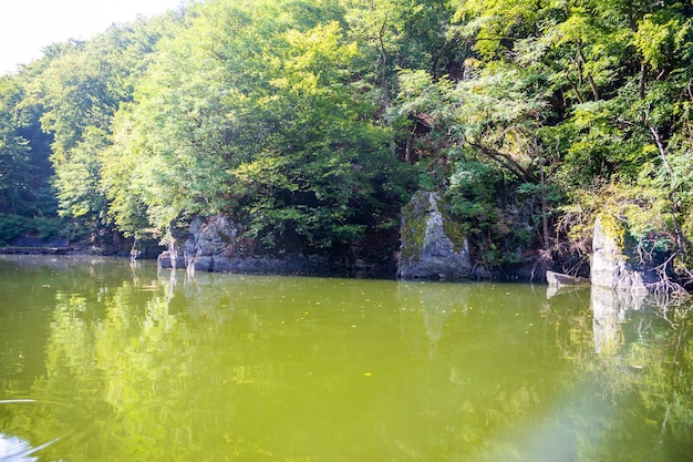 Un paisaje a lo largo del río Vltava en la República Checa vista desde el agua