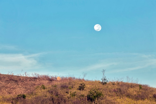 Paisaje con luna iluminada en el día de luz, en la colina