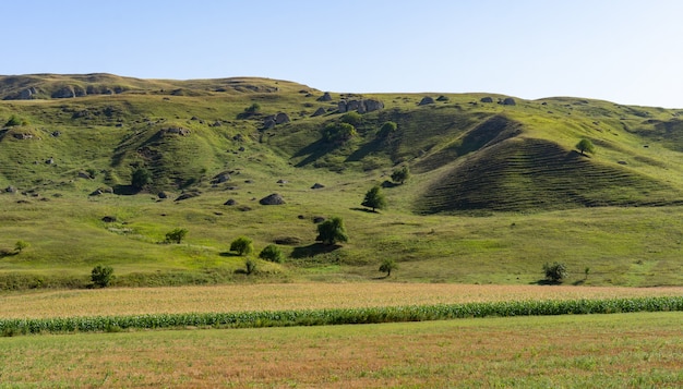 Foto paisaje de una magnífica llanura en verano