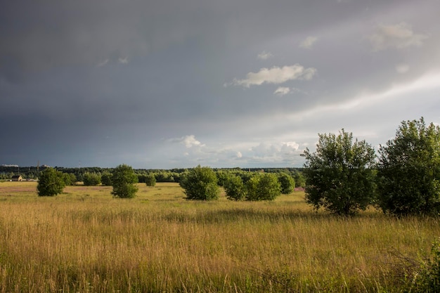 Paisaje con majestuoso hermoso cielo preamenazante dramático Cielo nublado