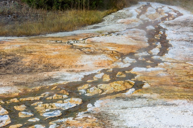 Paisaje de Mammoth Hot Springs en el Parque Nacional de Yellowstone