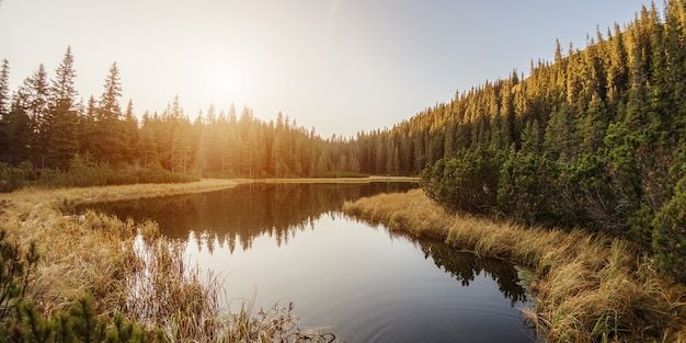 Paisaje de la mañana con lago en un bosque de montaña los primeros rayos del sol en los árboles