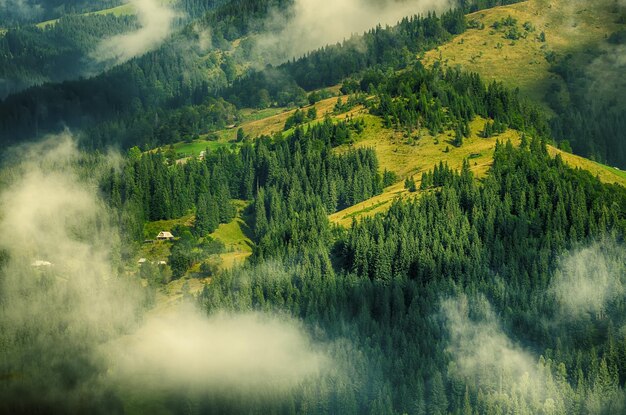 Paisaje de mañana con niebla