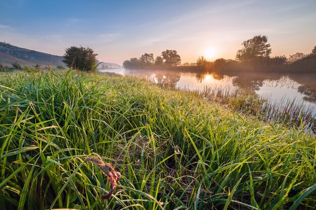 Paisaje de la mañana con río y telaraña en la hierba, frescura primaveral al amanecer