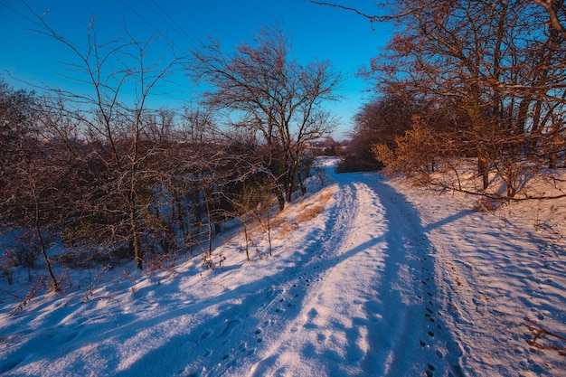 Paisaje de mañana soleada de invierno con un camino rural.