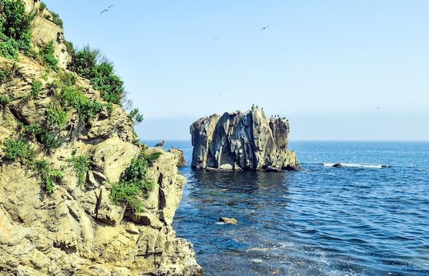 Paisaje del mar japonés con rocas en un día soleado de verano