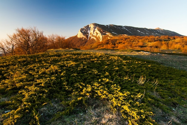 Un paisaje maravilloso e inusualmente hermoso con vistas a la alta meseta de las montañas de Crimea Naturaleza limpia y razonable del territorio de Crimea Ucrania ocupado por la Federación Rusa