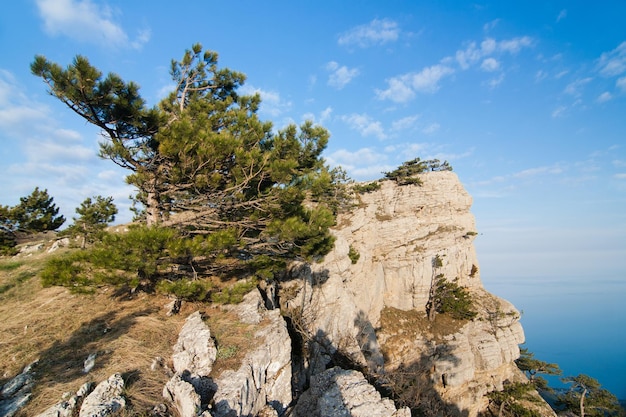 Un paisaje maravilloso e inusualmente hermoso con vistas a la alta meseta de las montañas de Crimea Naturaleza limpia y razonable del territorio de Crimea Ucrania ocupado por la Federación Rusa
