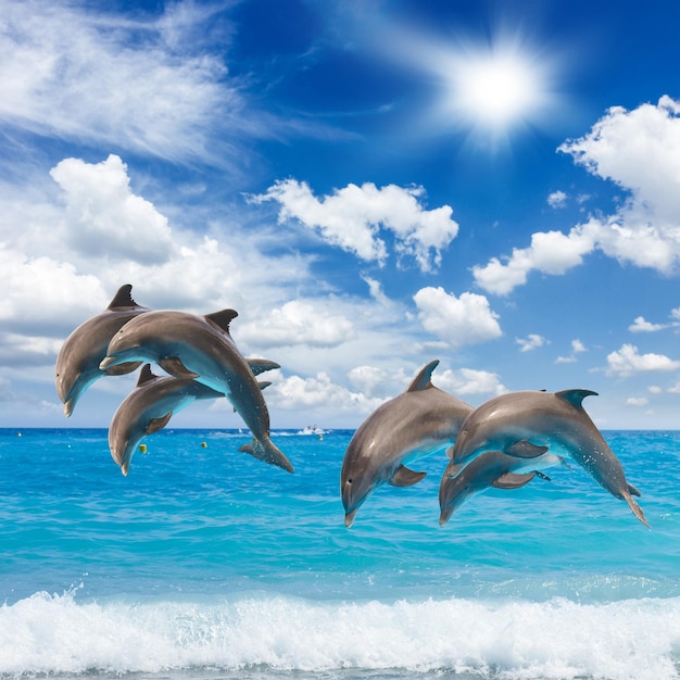 Paisaje marino de delfines saltando con aguas turquesas y nubes