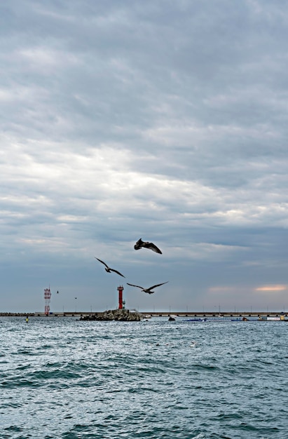 Paisaje marino con gaviotas sobre el faro rojo del mar y el paisaje de fondo natural del cielo de lluvia nublado