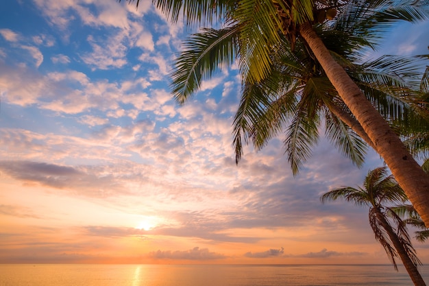 Paisaje marino de la hermosa playa tropical con palmeras al amanecer. Playa con vistas al mar en el fondo de verano.