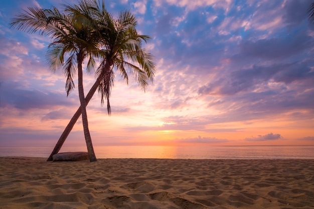 Paisaje marino de la hermosa playa tropical con palmeras al amanecer.