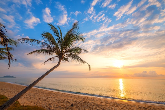 Paisaje marino de la hermosa playa tropical con palmeras al amanecer