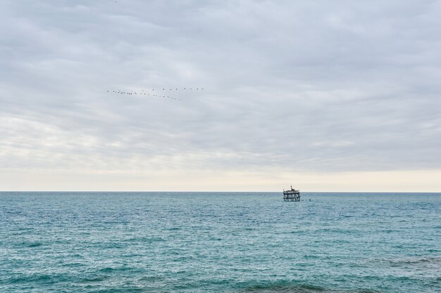 Paisaje marino con instalación de acuicultura en la distancia y bandada de pájaros en cielo nublado