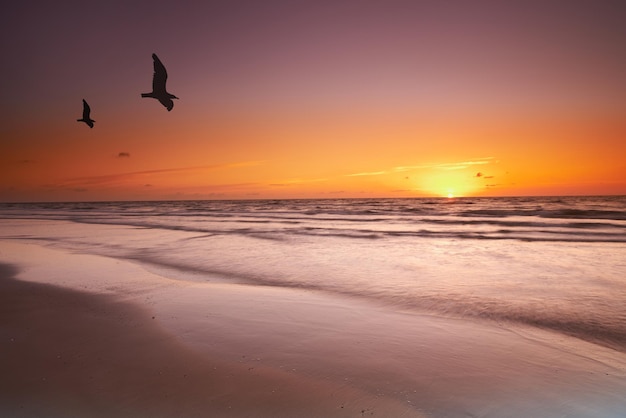 Paisaje marino y paisaje de una puesta de sol dorada en la costa oeste de Jutlandia en Loekken Dinamarca Hermoso paisaje nublado en una playa vacía al atardecer Aves volando sobre el océano por la noche con copyspace
