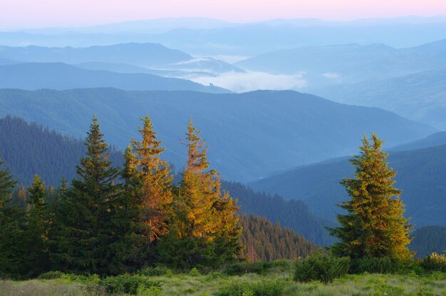 Paisaje matutino con un bosque en las montañas.