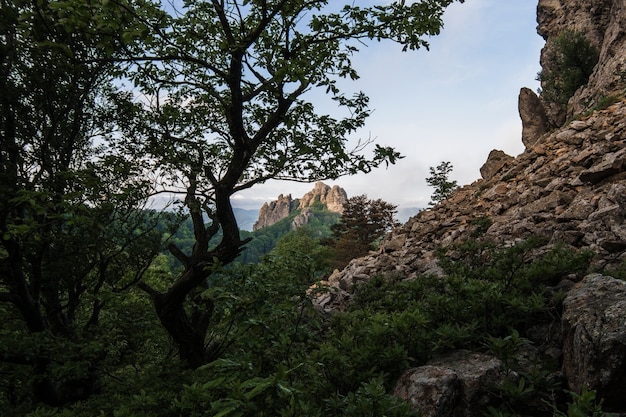 Paisaje matutino de montañas