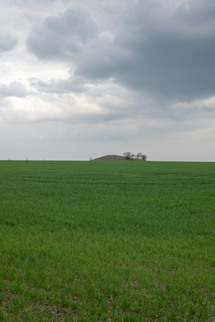 Paisaje minimalista de campo verde de hierba contra el fondo de un cielo nublado antes de la tormenta