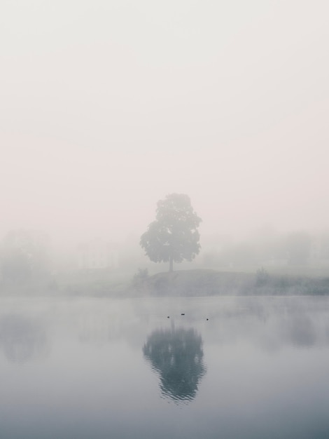 Paisaje místico de la mañana con niebla sobre el lago.