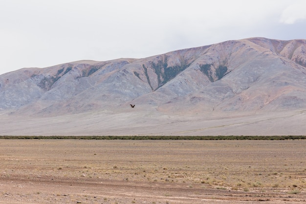 Paisaje de Mongolia. Parque Nacional Altai Tavan Bogd en Bayar-Ulgii