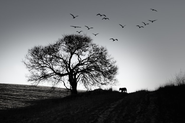 Paisaje monocromático con las siluetas de un árbol sin hojas, un perro y una bandada de pájaros.