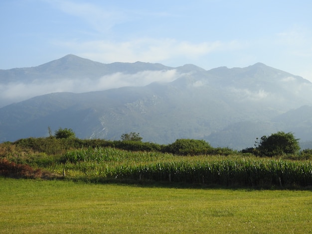 Paisaje de montaa con prados verdes y campos de maiz