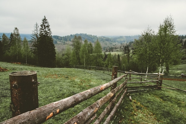 Paisaje de montaña con abetos y vallas de madera.