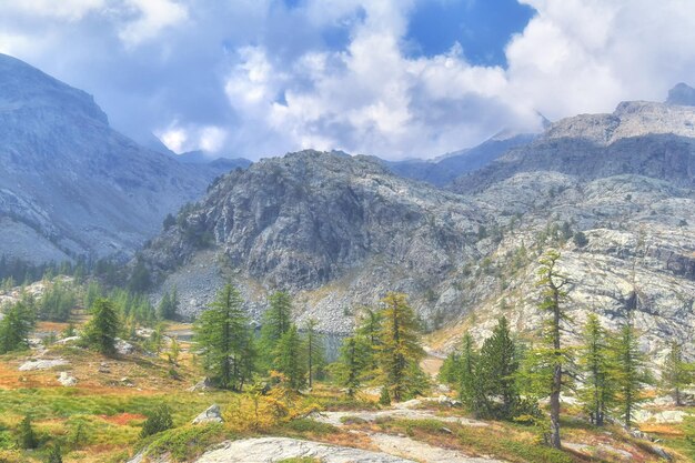 Un paisaje con una montaña al fondo.