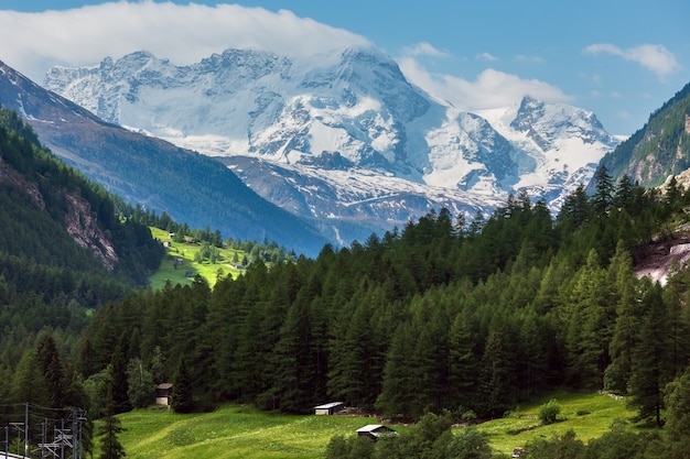 Paisaje de montaña de los Alpes de verano con bosque de abetos en pendiente y cimas rocosas cubiertas de nieve en lejos, Suiza.