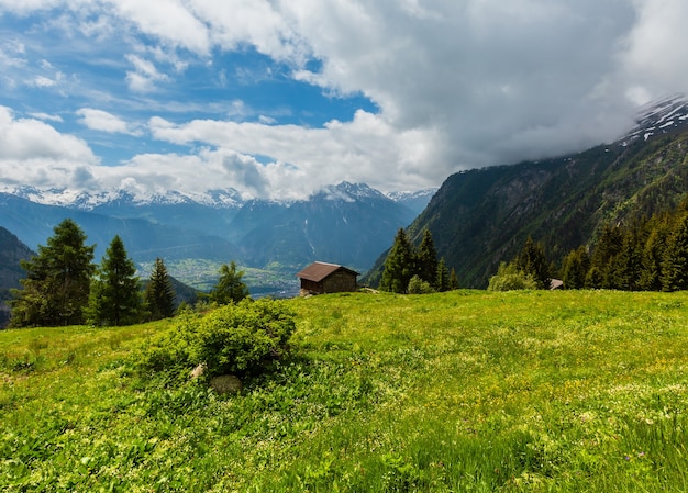 Paisaje de montaña de los Alpes de verano con flores amarillas en ladera de pastizales, Suiza.