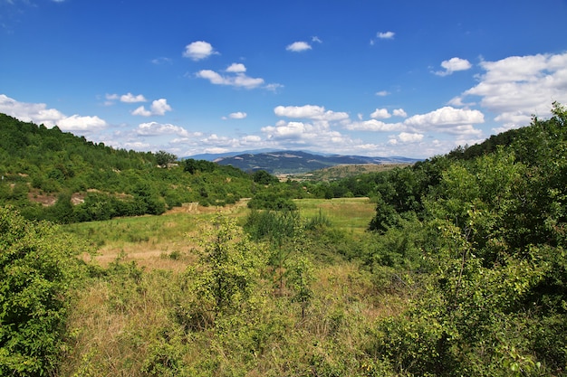 Paisaje de montaña con árboles