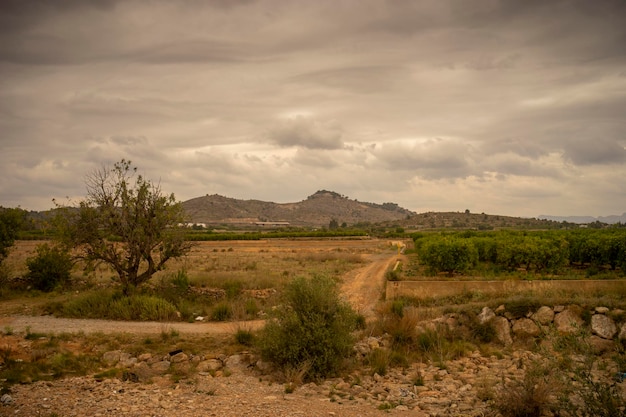 Paisaje de una montaña entre árboles.