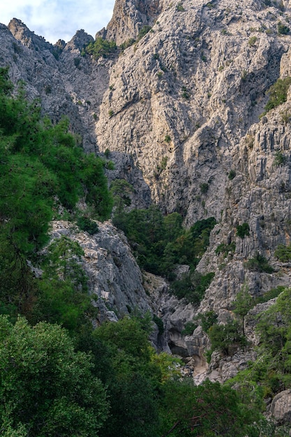 Paisaje de montaña con un arroyo en un desfiladero rocoso