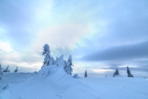 Foto paisaje de montaña azul de invierno