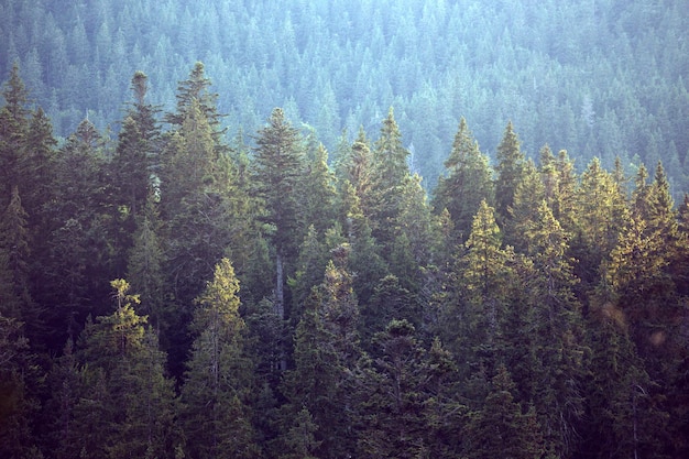 Paisaje de montaña bonita