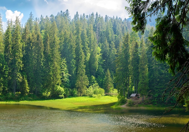 Paisaje de montaña en el bosque cerca del lago. Temporada de verano